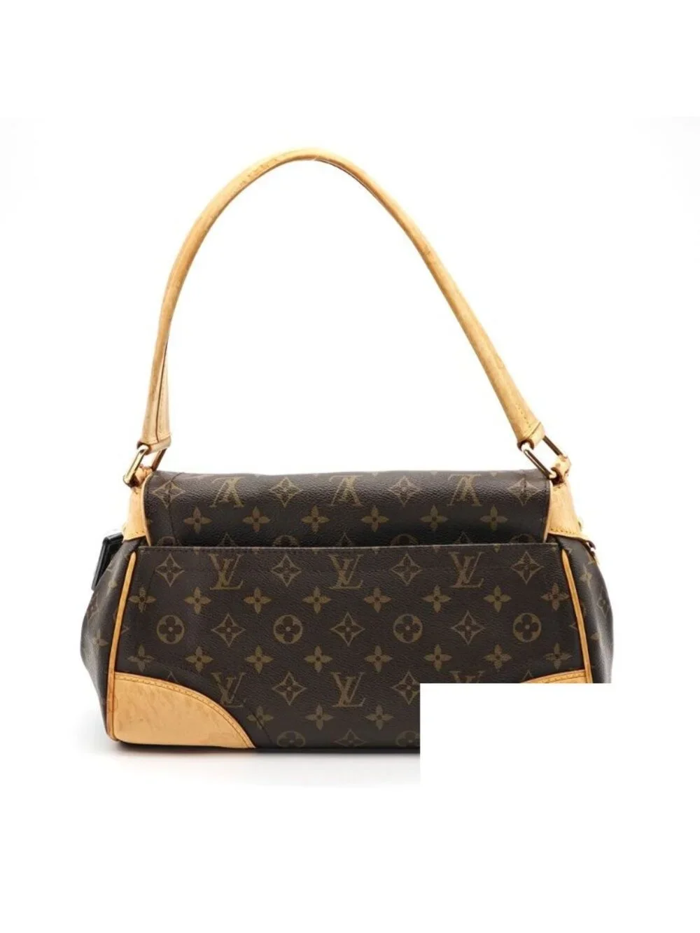 Louis Vuitton brand louis